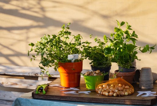 Houten tafel potplantjes